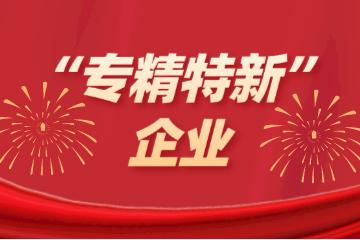 喜訊！遠望信息入選浙江省“專(zhuān)精特新”企業(yè)名單